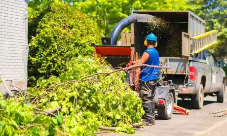 Broyage et évacuation des déchets verts